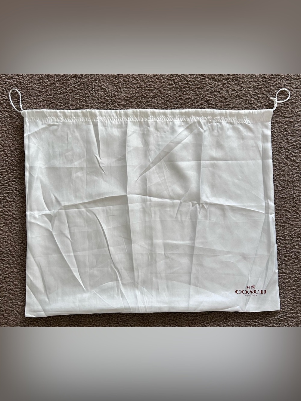 COACH Dust Bag